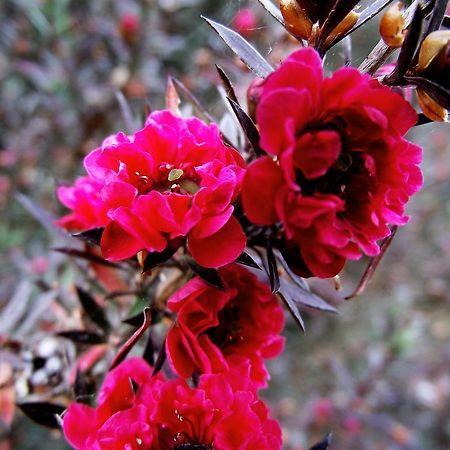 Vila Joaninha Santo Antonio da Serra ภายนอก รูปภาพ